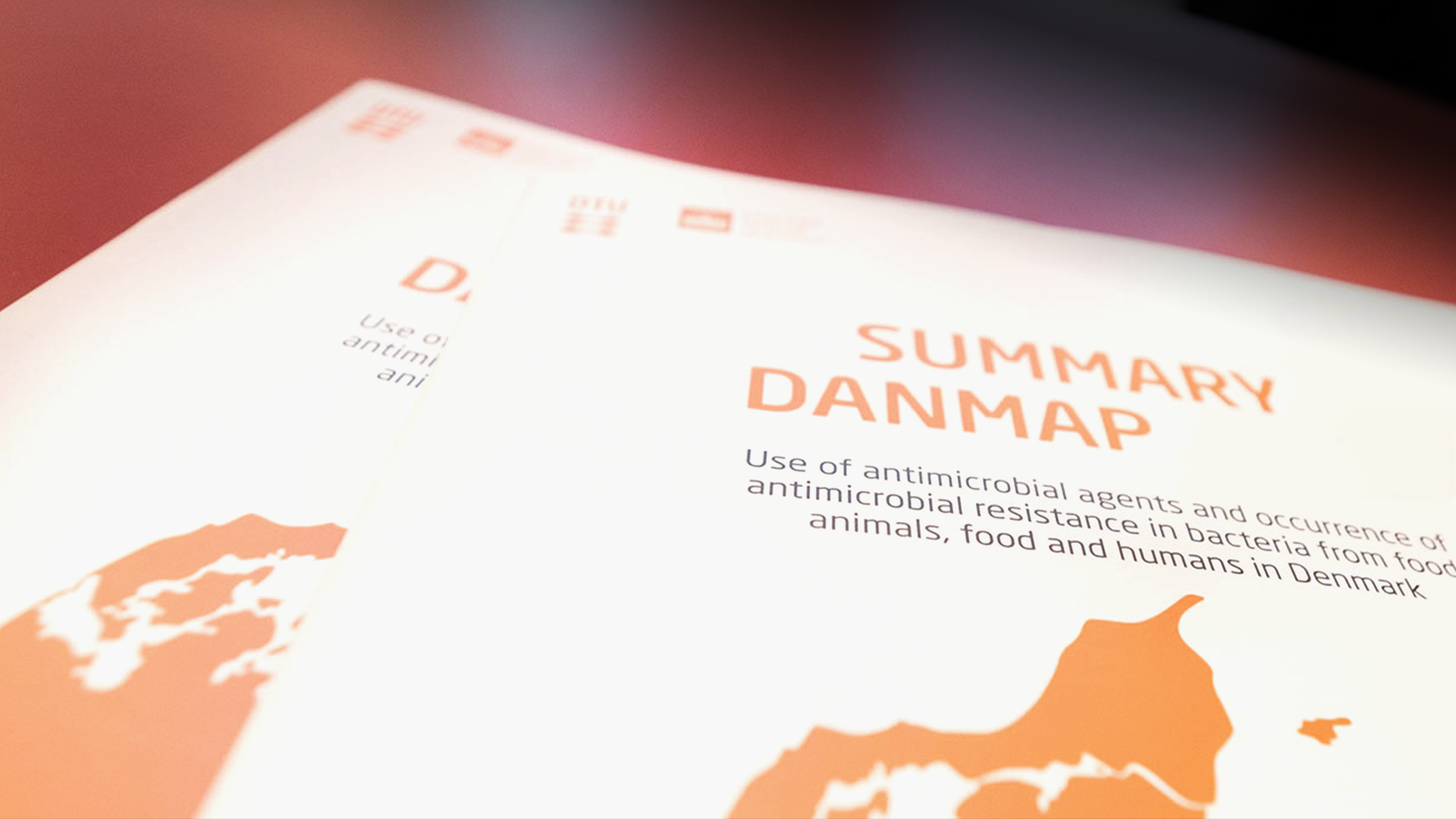 DANMAP-summary-rapport