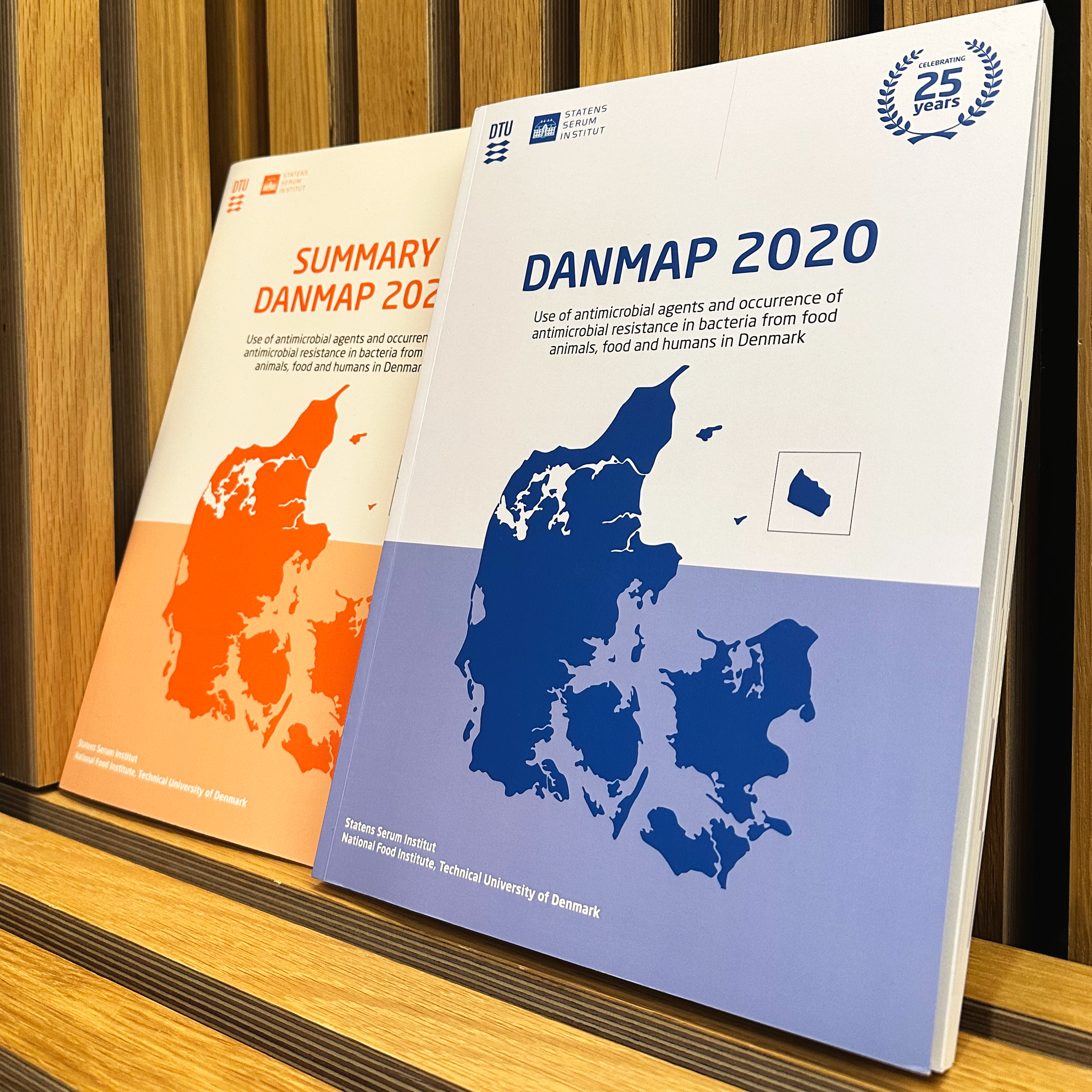 DANMAP Reports